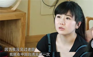 福原爱描述第一次见老鼠的情形汪小菲被吓成了表情包