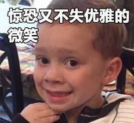 如何看待刘亦菲宋承宪分手