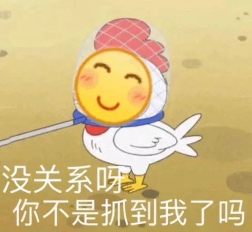 表情包为什么不理我,是其他备胎比我帅吗