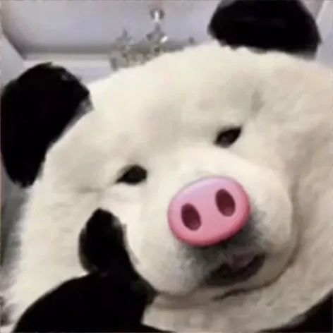 抖音表情包我不要上班,我再也不快乐了