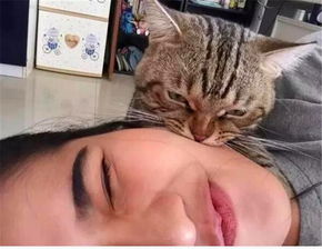 主人诱哄小猫咪,小猫咪为了小鱼干一副豁出去了的表情,萌哭了