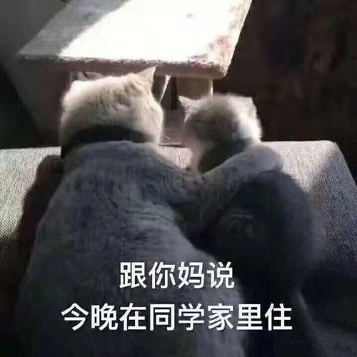 下大雨搞笑表情包表情包