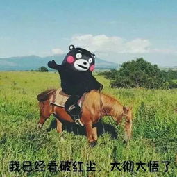 马龙张继科有基情男生之间还有没纯友谊啦