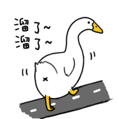 网红鸭鸭表情包