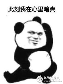 圈铁耳机到底是什么跟普通耳机有什么不同