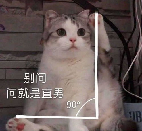 撩汉利器,超可爱动物表情包