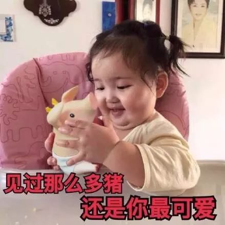 网红鸭子表情包动图小刚