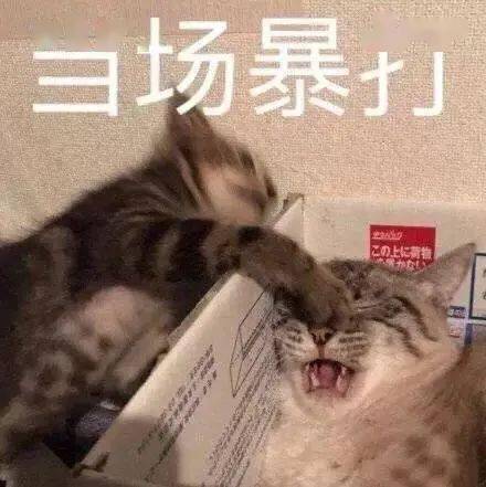 影视剧骗了你多少年,亲属间不能输血,丈夫尤其不能给妻子输血
