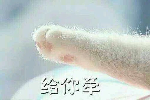 和傲娇国防生男朋友的日常