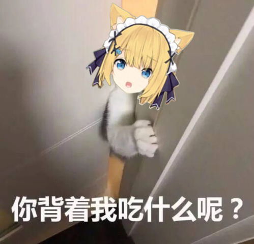 花园猫饲养周记第四十四期20210124