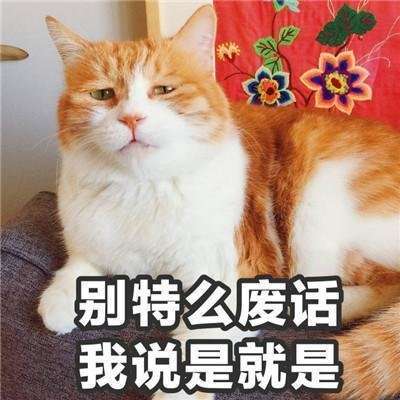 抖音小哥哥聊天吗表情包大全一言不合就开撩