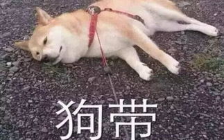 实力撩汉︱都是套路但我撩你的心是真的