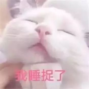 女生专用招桃花表情包