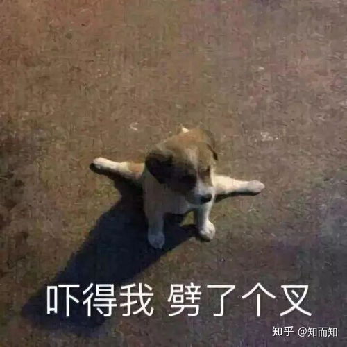 把运气分享表情包头像