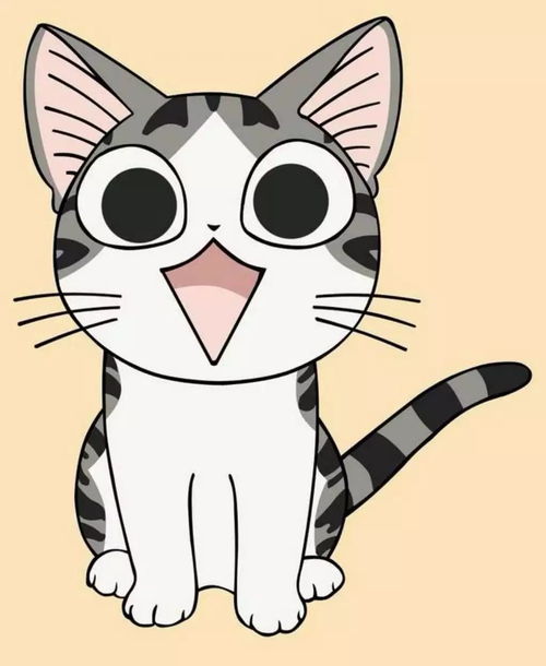 在这个十一月末狂吸一口猫