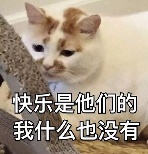水瓶男到底该怎么处