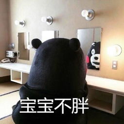 易车网绍兴和泰起亚