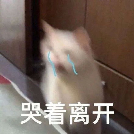 黄豆头捂嘴偷笑表情包小黄脸黄豆头表情包emoji表情
