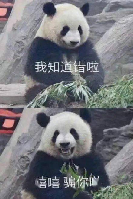 表情包有对象和没对象道歉