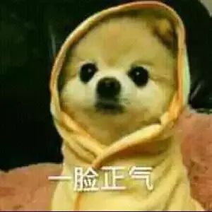 事情变得有趣了起来表情包小物