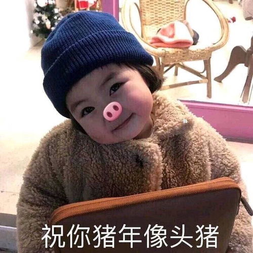 猪年大吉
