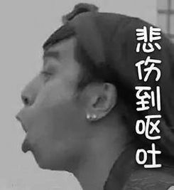 没有表情包聊天还有什么意思
