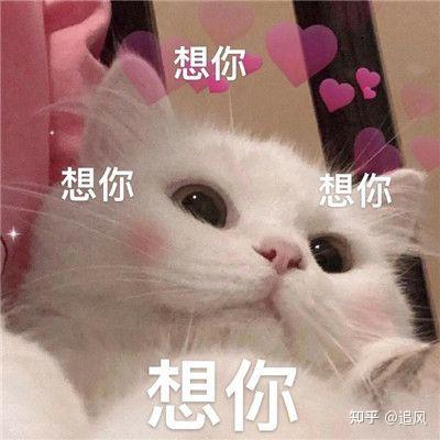 情侣刚在一起的第一条朋友圈文案怎么写