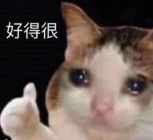 我收集了50个人的第一次
