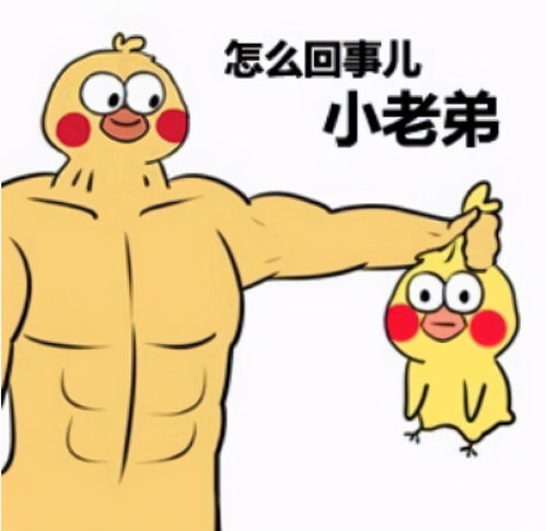 读过大学和没读过大学有什么区别五张图,扎心却很现实
