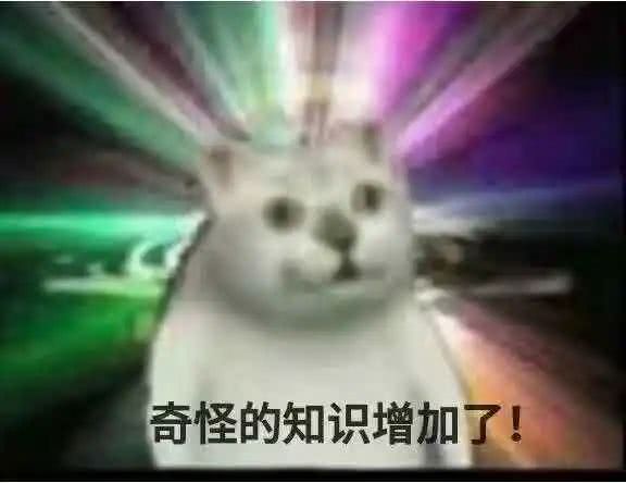 回归在即zk5乳腺癌李小龙新造型亮相
