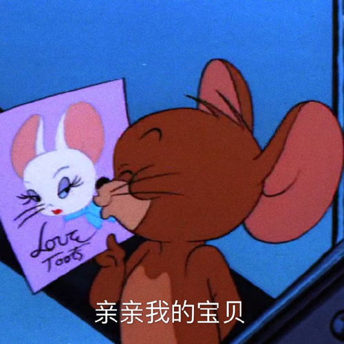 猫和老鼠搞笑表情包图片大全亲亲我的宝贝,给你点颜色瞧瞧