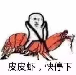 皮皮虾,我们走驾驶全民坐骑的正确方式