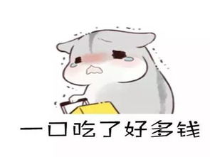 额滴神换了几颗牙,一辆宝马没了一颗牙到底有多贵
