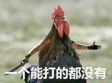 鸡你太美图片表情包篮球