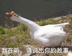 vr教育,黑科技成就你的头号玩家梦