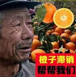不靠悲情营销,不靠套路,用文创真正助农发展