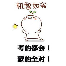给高考生打call专用表情包
