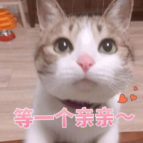 来为你的讲师云打call属我最燃优秀讲师评选投票开启