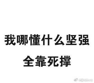 坚强表情包搞笑拉美
