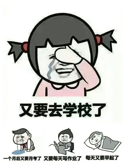表情包适合开学学生党用的表情包
