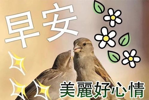 淡然地过着自己的生活,不要轰轰烈烈,只求安安心心,早安