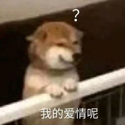 头像丨我太孤独想与你同行