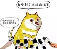 适合单身狗情人节专用表情包尽管秀恩爱,明年还是这个人算我输