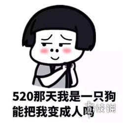 520表情包抖音抖音520表情包大全