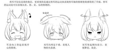 q版人物头部绘制教程,囊括不同视角画法,头发画法及表情画法