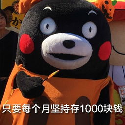月薪3000买房表情包,教你如何月薪3000买海景房