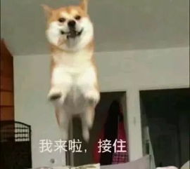 喜欢甜腻风格的学起来