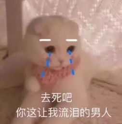 奇葩相亲对象又刷下限又矮又秃,分手还要2万分手费