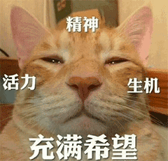 表情精选又是难过的一天