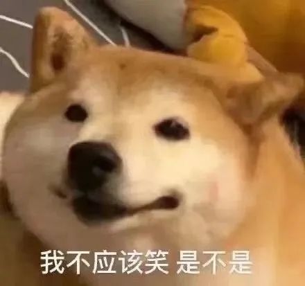 科学研究表明,蟑螂奶营养是牛奶的3倍,你敢挑战一杯吗